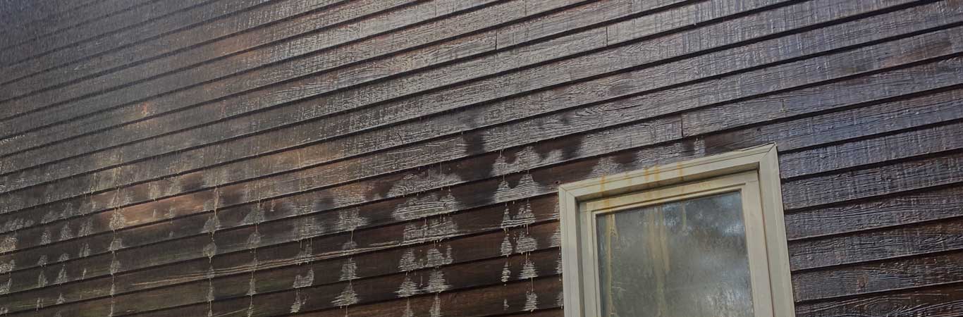 slideshow-pressure-washing image